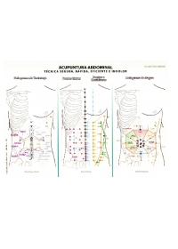 Mapa - Acupuntura Abdominal - Dr. Wu Tou Kwangog:image